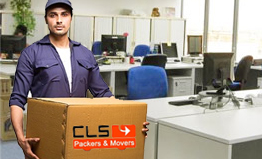 CLS Packers
